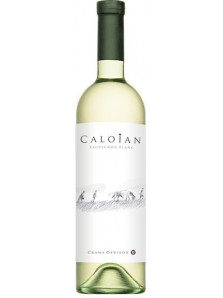 Caloian Sauvignon Blanc 2022 | Crama Oprisor | Plaiurile Drancei
